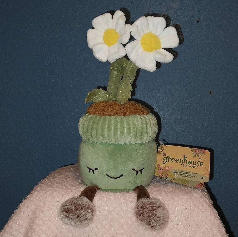 Greenhouse plush plant flowers